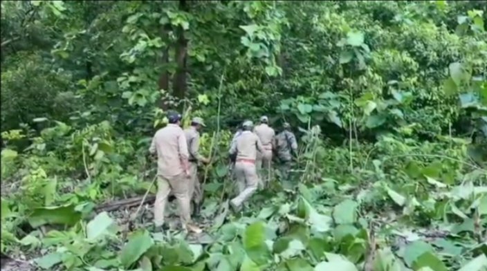 बाघ का शिकार हुए युवक की तलाश जारी, वन विभाग को सर्च ऑपरेशन के दौरान मिला युवक का हाथ