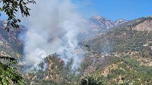 उत्तराखंड: नैनीताल में बढ़ती गर्मी के साथ जंगलों में आग का कहर! बढ़ा पारा,लाचार नजर आ रहा विभाग